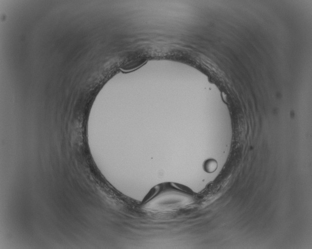 X0000067870497200604271739