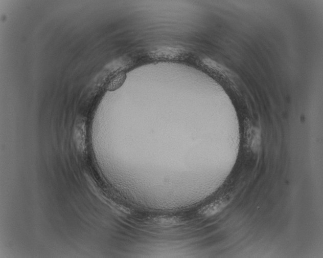 X0000067870498200604271739