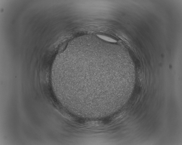 X0000067870499200604271739