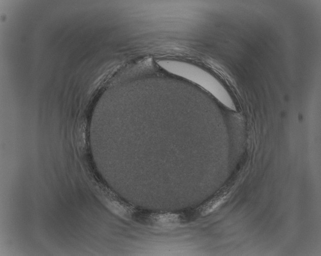 X0000067870501200604271739