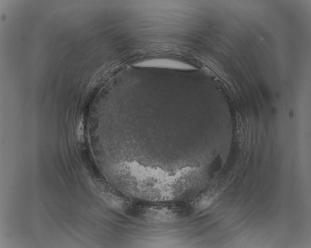 X0000067870502200604271739