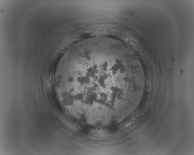 X0000067870503200604271739