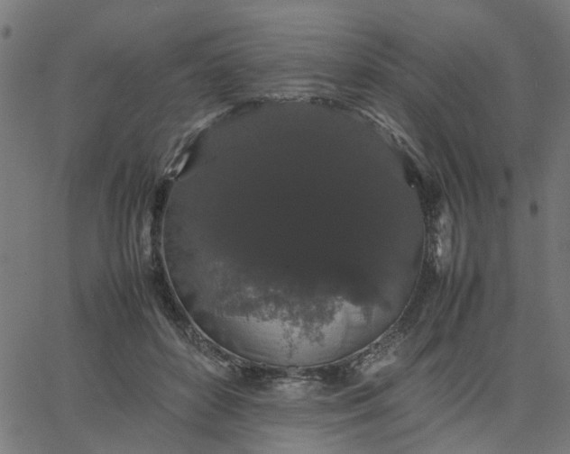 X0000067870504200604271739