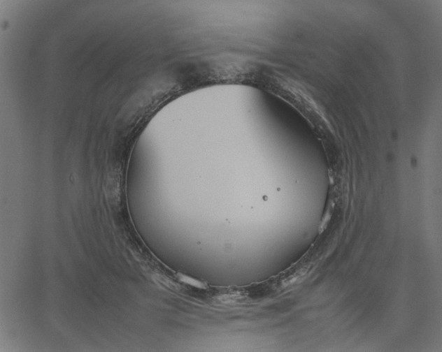 X0000067870505200604271739