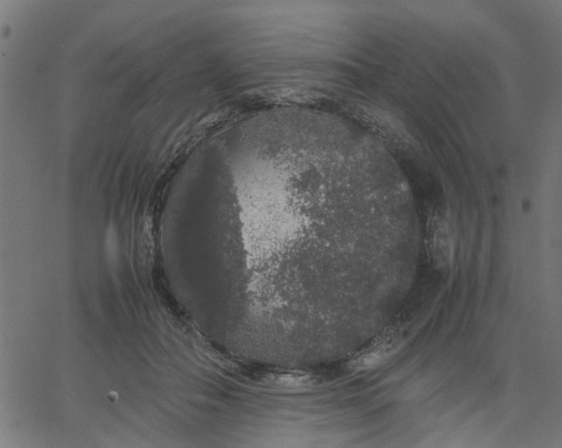 X0000067870506200604271739