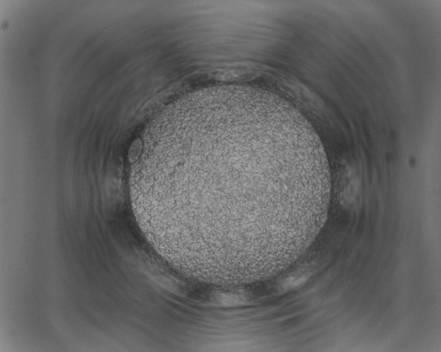 X0000067870510200604271739