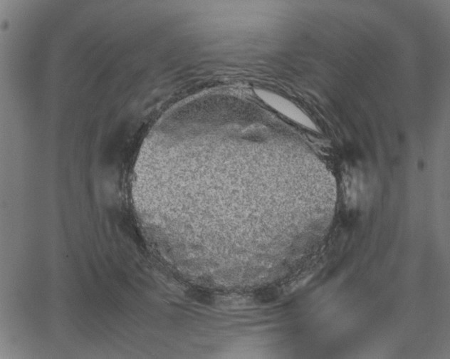 X0000067870511200604271739