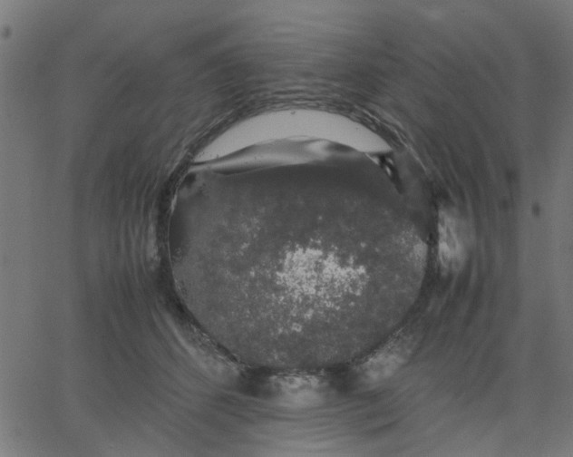 X0000067870512200604271739