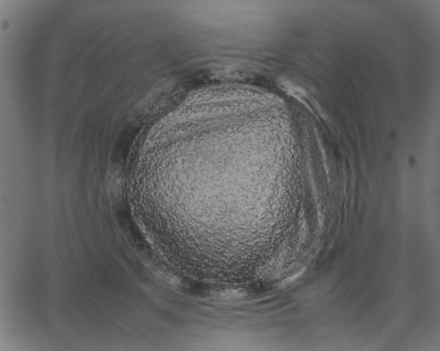 X0000067870513200604271739