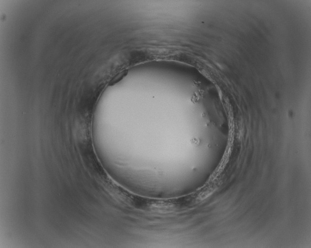 X0000067870515200604271739