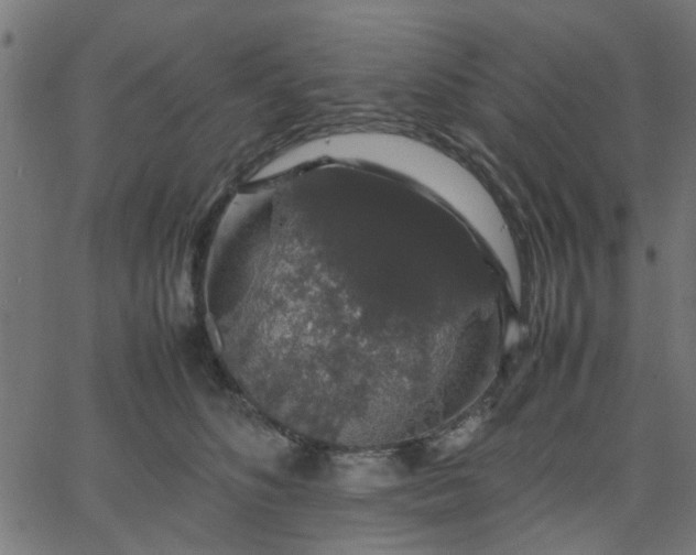 X0000067870516200604271739