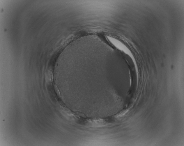 X0000067870517200604271739