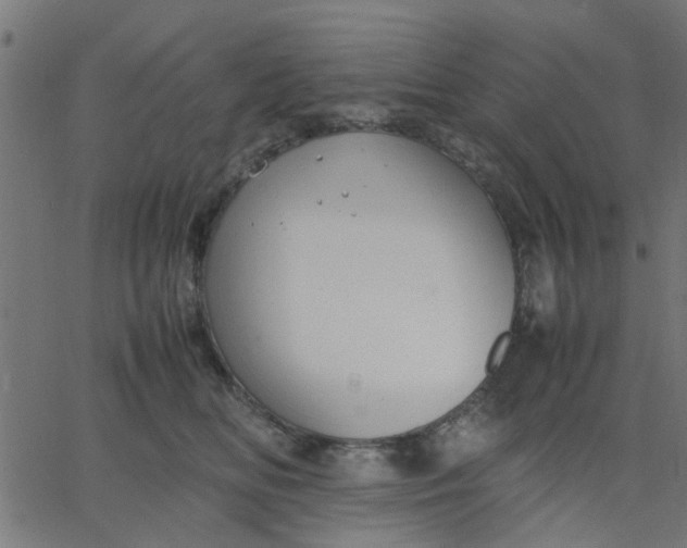 X0000067870518200604271739