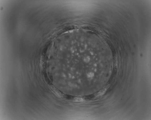 X0000067870519200604271739