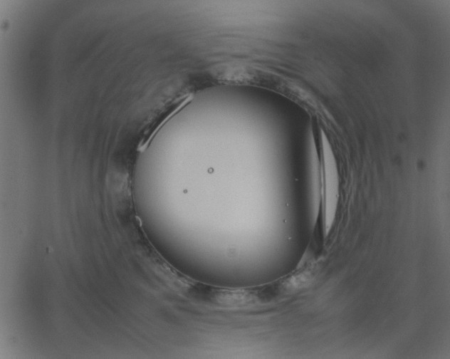 X0000067870521200604271739