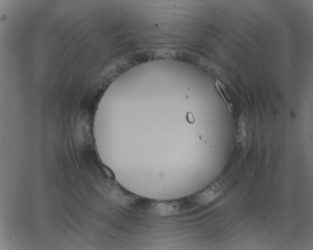 X0000067870522200604271739