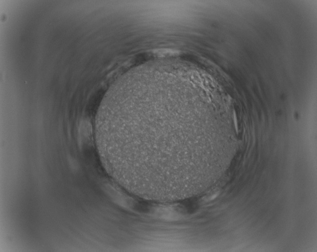 X0000067870523200604271739