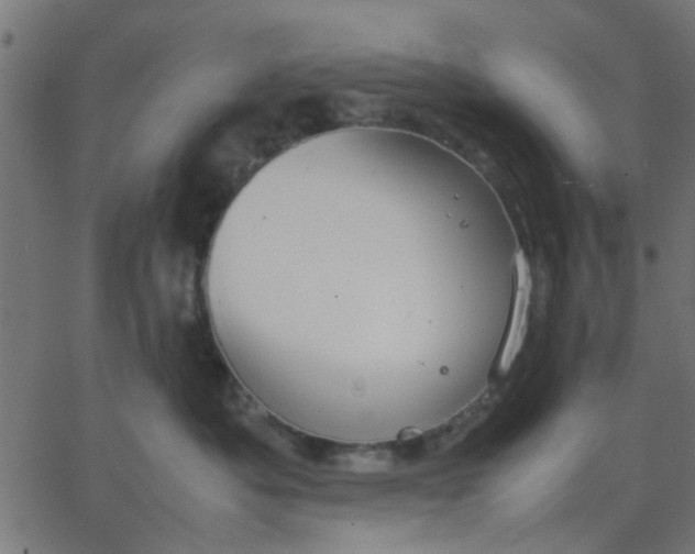 X0000067870525200604271739