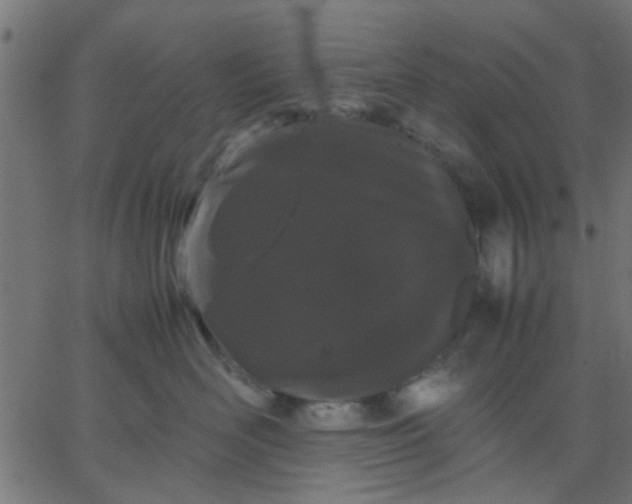 X0000067870526200604271739