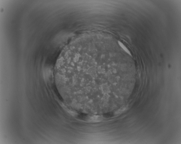 X0000067870527200604271739