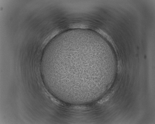 X0000067870529200604271738