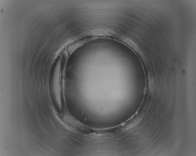 X0000067870530200604271738