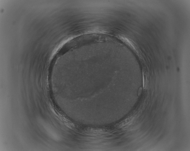 X0000067870531200604271738