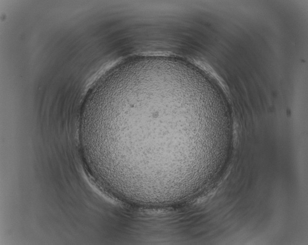 X0000067870533200604271738