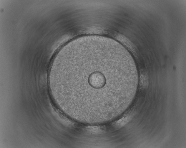 X0000067870534200604271738