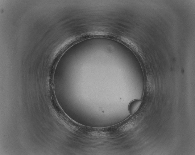 X0000067870535200604271738