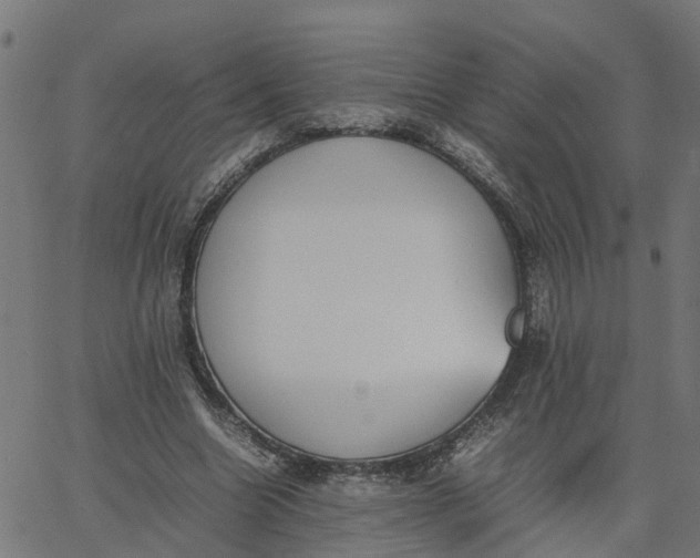 X0000067870538200604271738