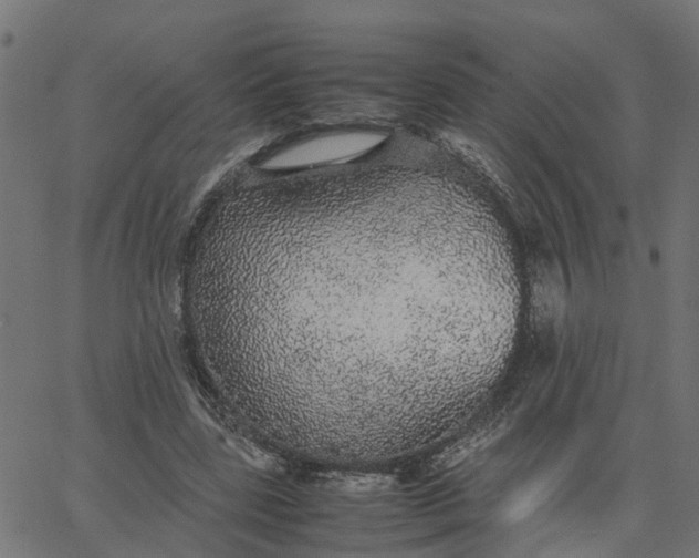 X0000067870539200604271738