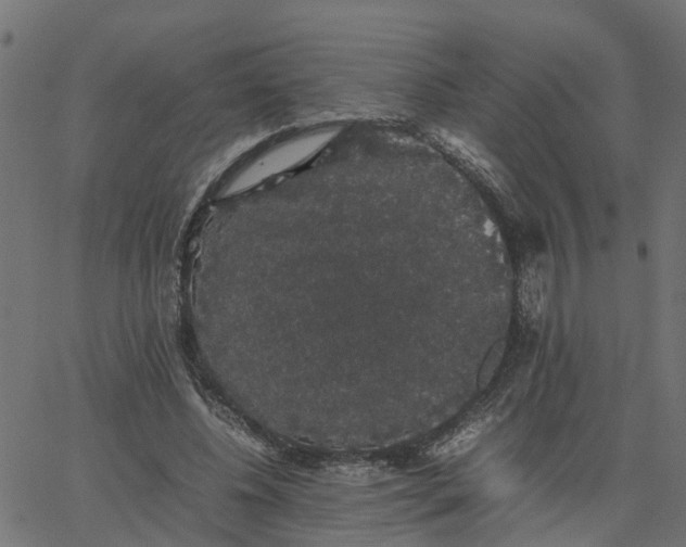 X0000067870540200604271738