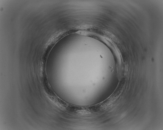 X0000067870544200604271738