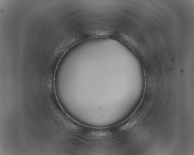 X0000067870545200604271738