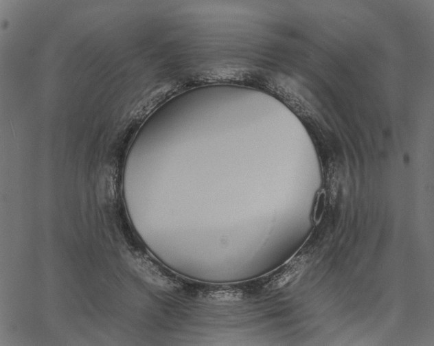 X0000067870546200604271738