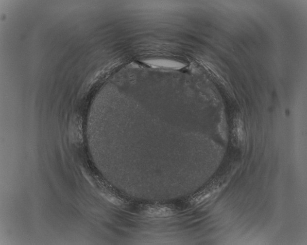 X0000067870547200604271738