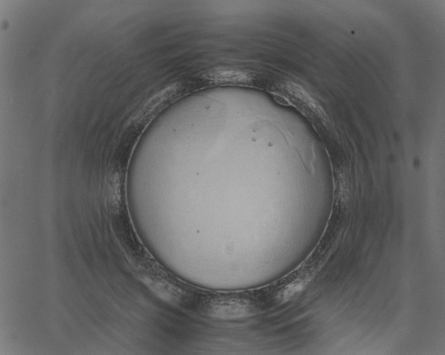 X0000067870549200604271738