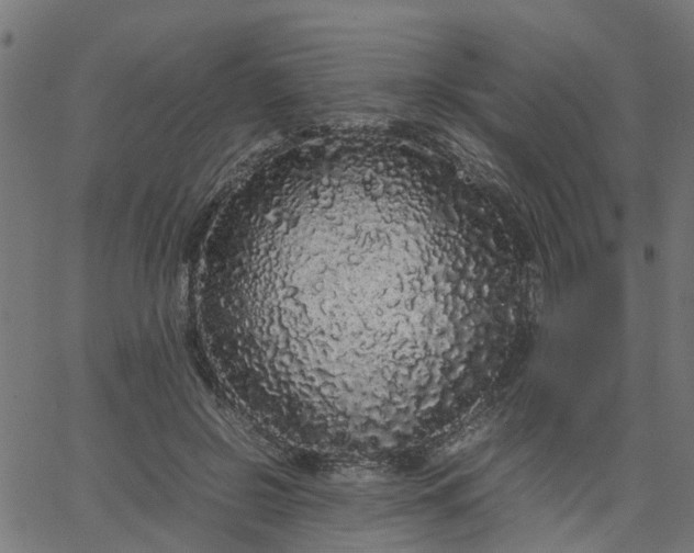 X0000067870550200604271738