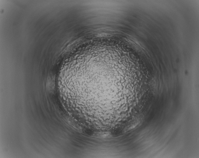 X0000067870554200604271738