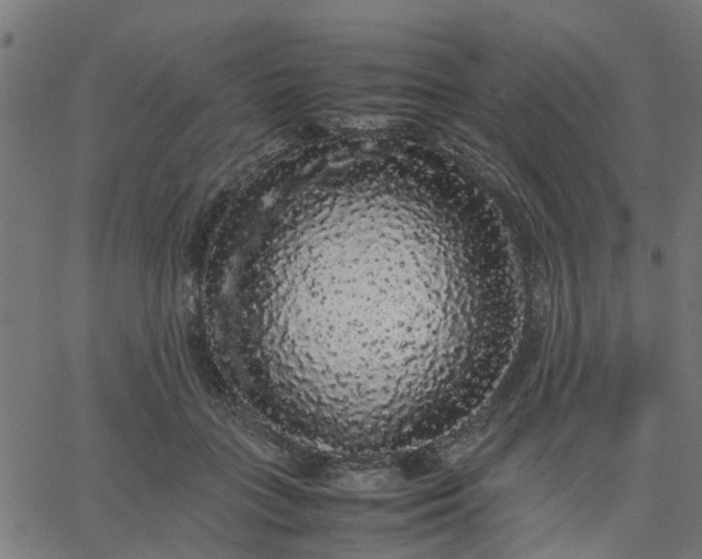 X0000067870555200604271738