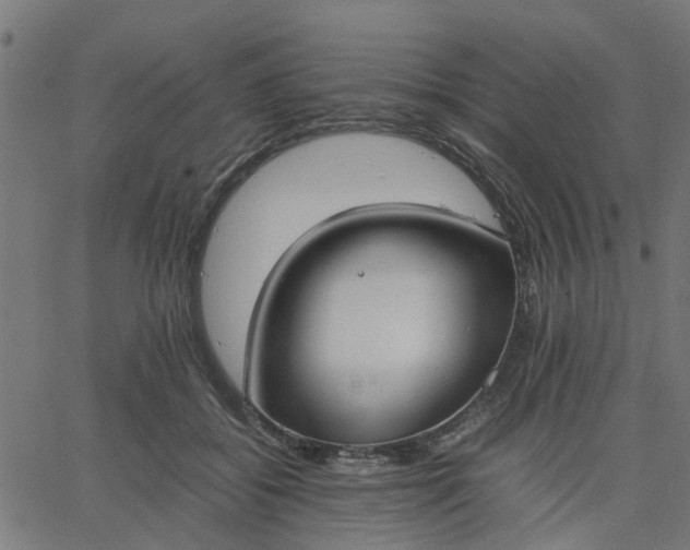 X0000067870556200604271738