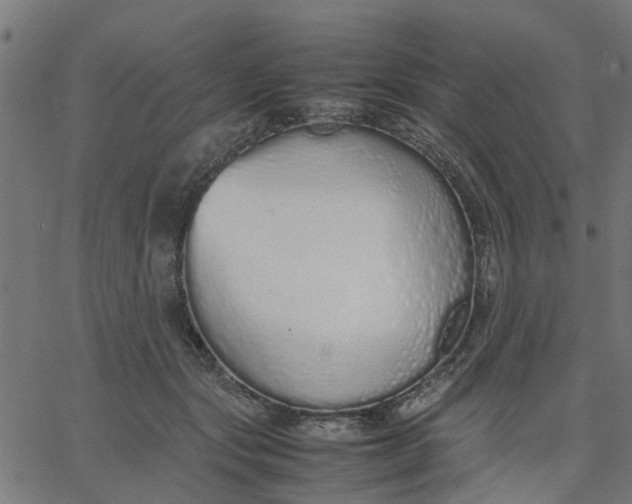 X0000067870557200604271738