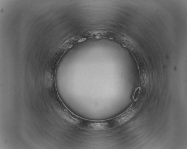 X0000067870558200604271738