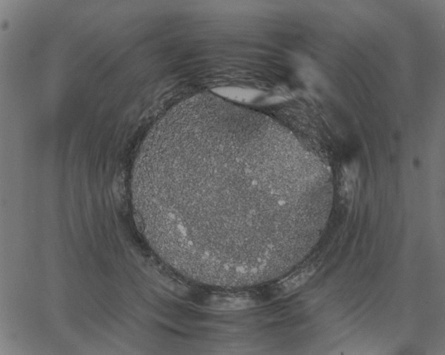 X0000067870559200604271738