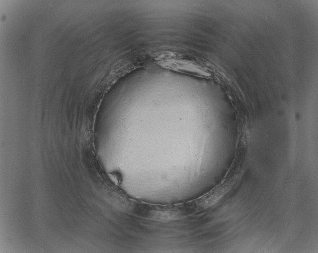 X0000067870561200604271738