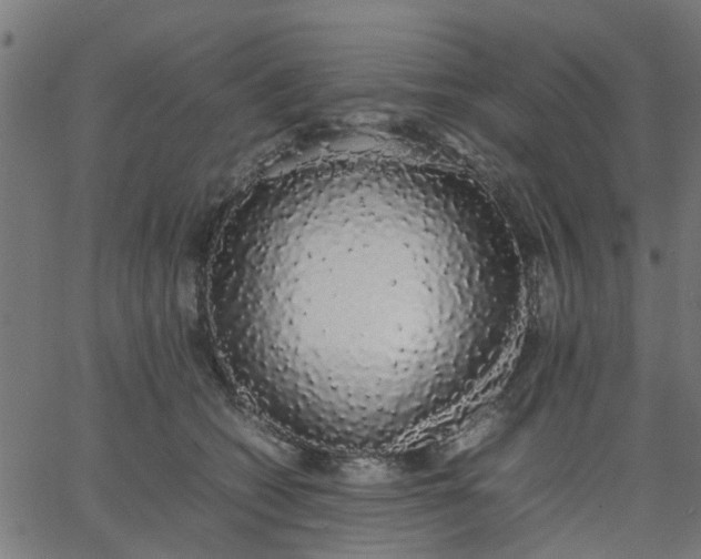 X0000067870562200604271738