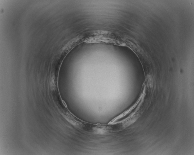 X0000067870564200604271738