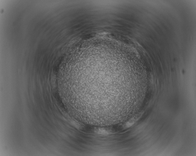 X0000067870565200604271738