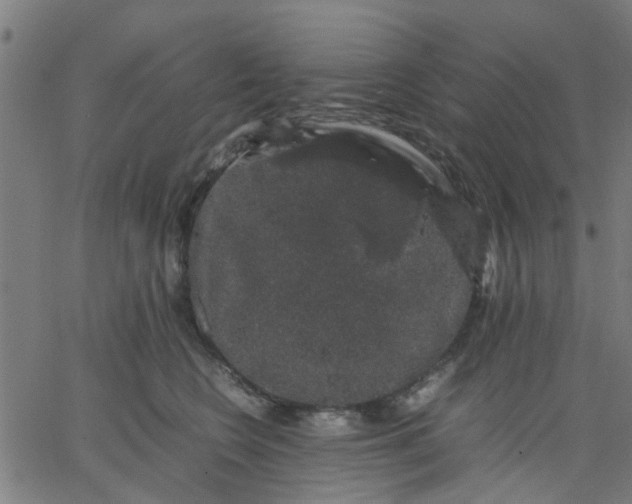 X0000067870566200604271739